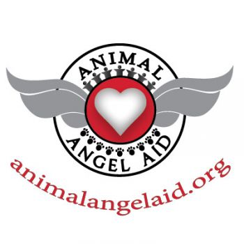 100% of Proceeds donated to Homeless Animals