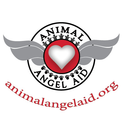 100% of Proceeds donated to Homeless Animals