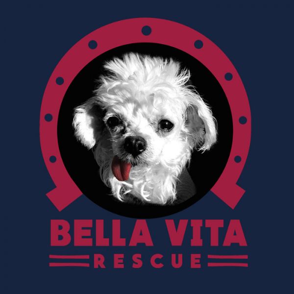Bella Vita Rescue