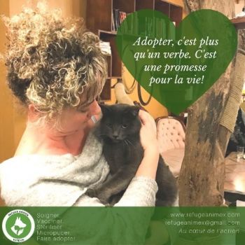 Adoptons pour la vie/Let's adopt for life