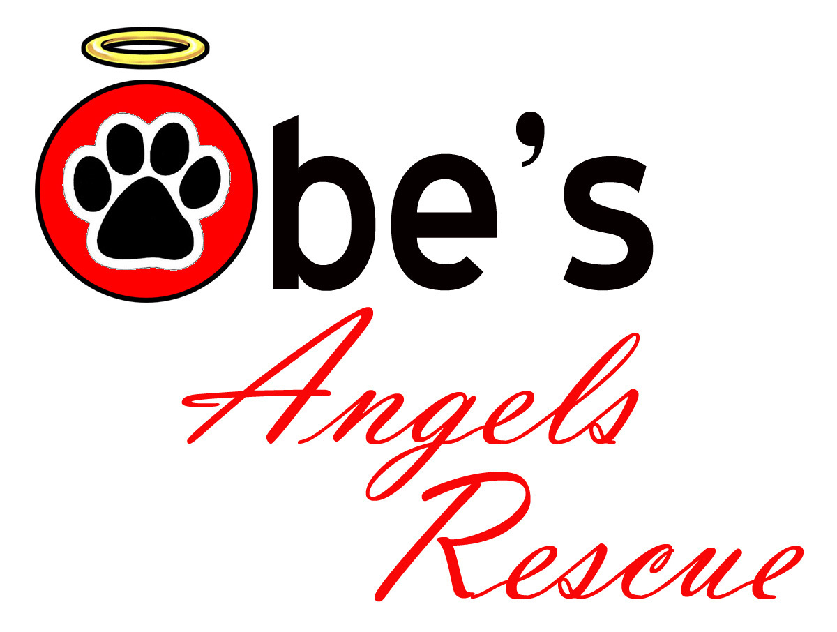 Obe's Angels Rescue