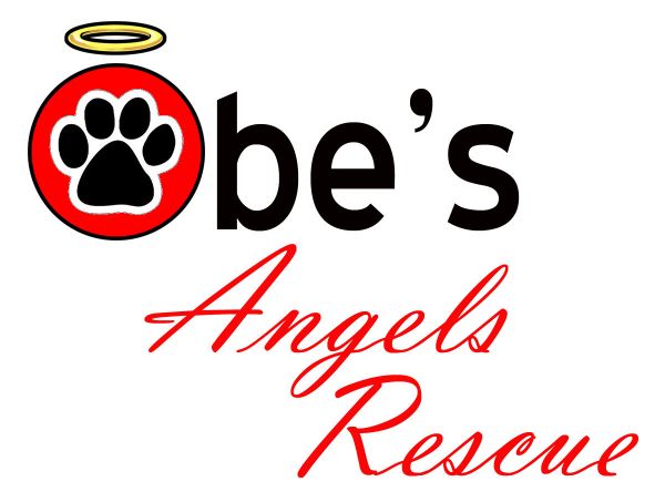 Obe's Angels Rescue