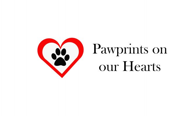 Pawprints on our Hearts Rescue
