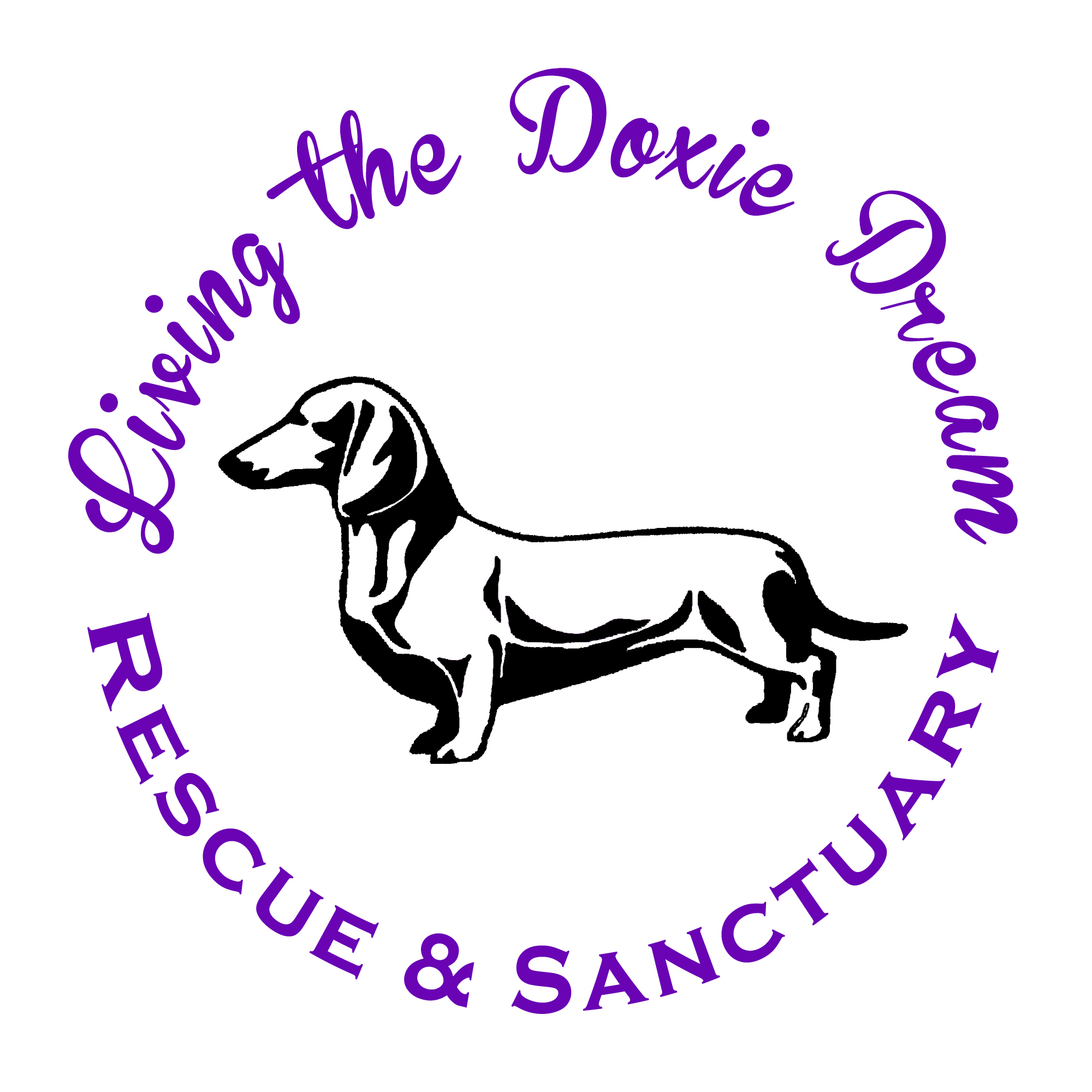 Living the Doxie Dream Rescue and Sanctuary