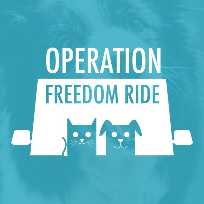 Operation Freedom Ride Inc.