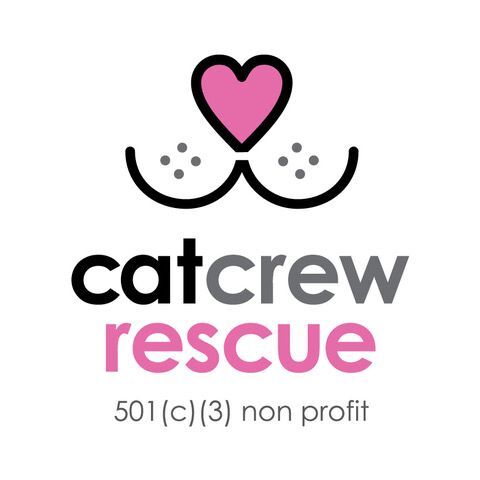 Pets for Adoption at Cat Crew Rescue, in Oradell, NJ | Petfinder