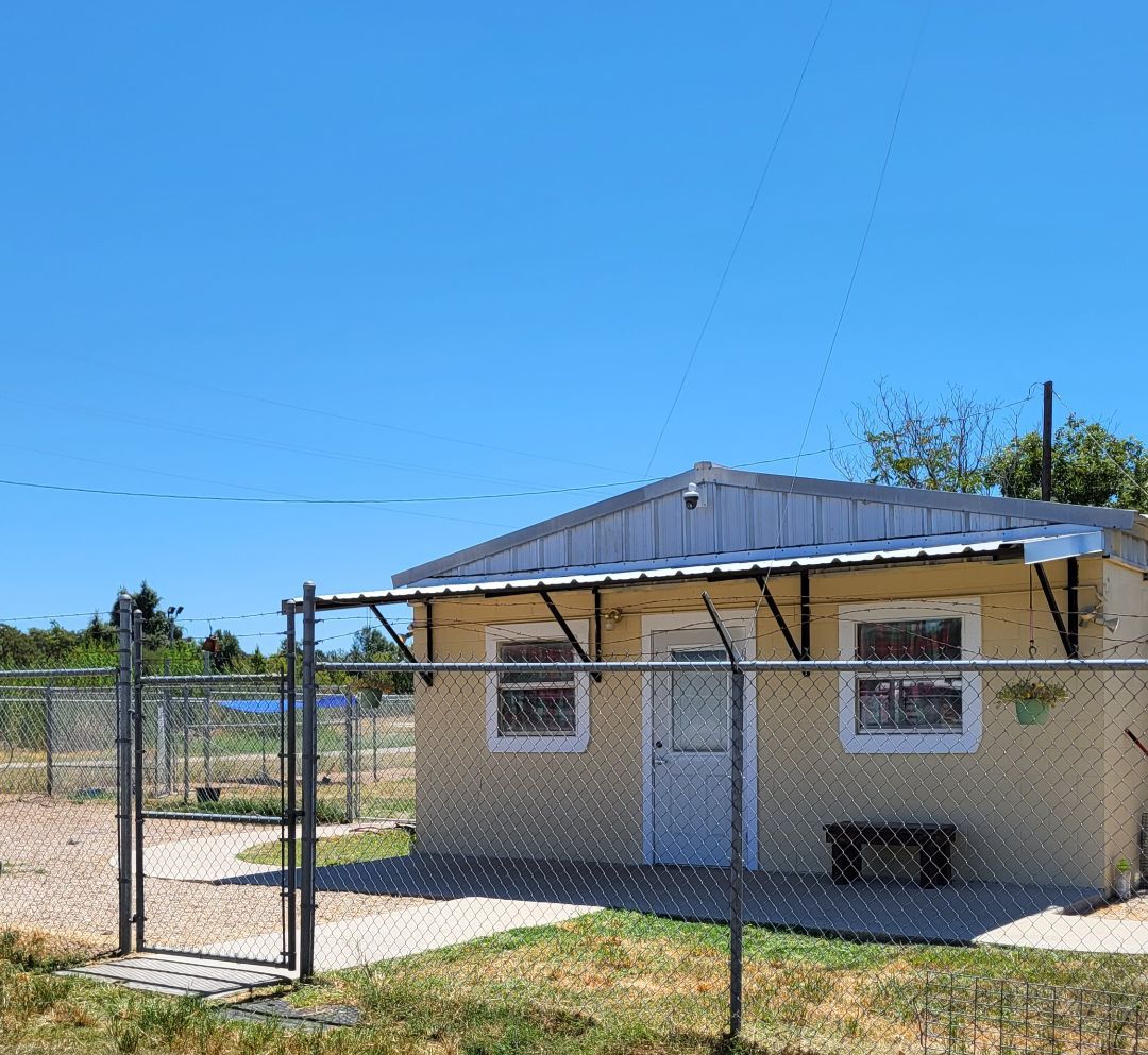Rockdale Animal Shelter