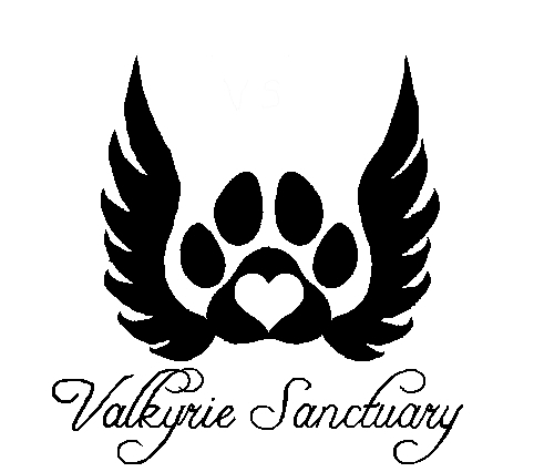 Valkyrie Sanctuary