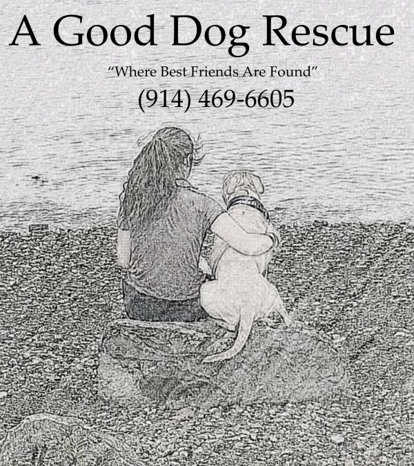 A Good Dog Rescue