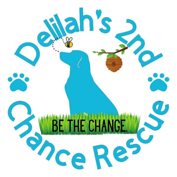 Delilahs 2nd Chance