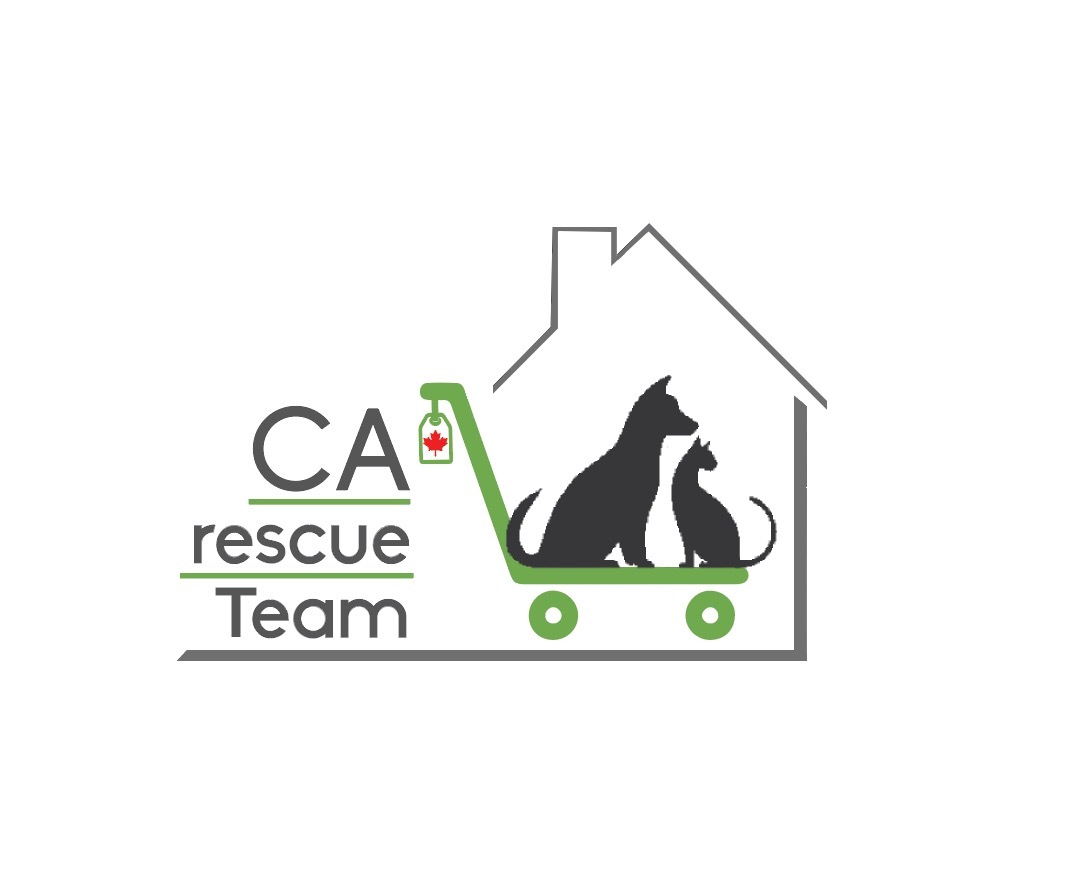 CArescueTeam