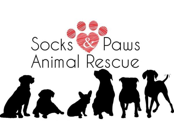 Socks and Paws Animal Rescue