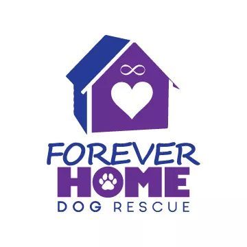 Pets for Adoption at Forever Home Dog Rescue, in South Elgin, IL ...