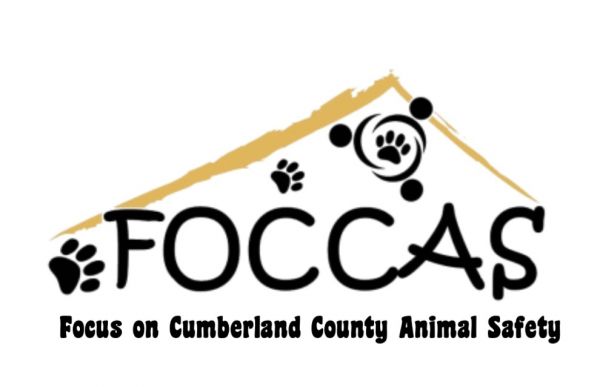 Focus on Cumberland County Animal Safety
