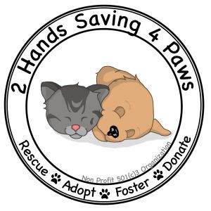 2 Hands Saving 4 Paws