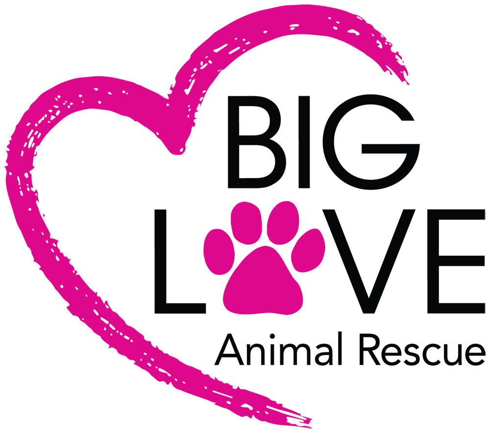 Big Love Animal Rescue