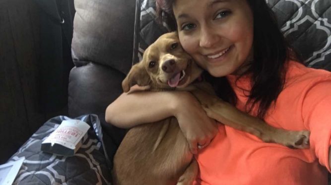 Galax Carroll Grayson Animal Shelter