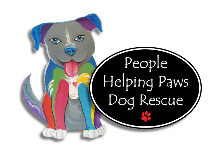 Helping paws hot sale rescue