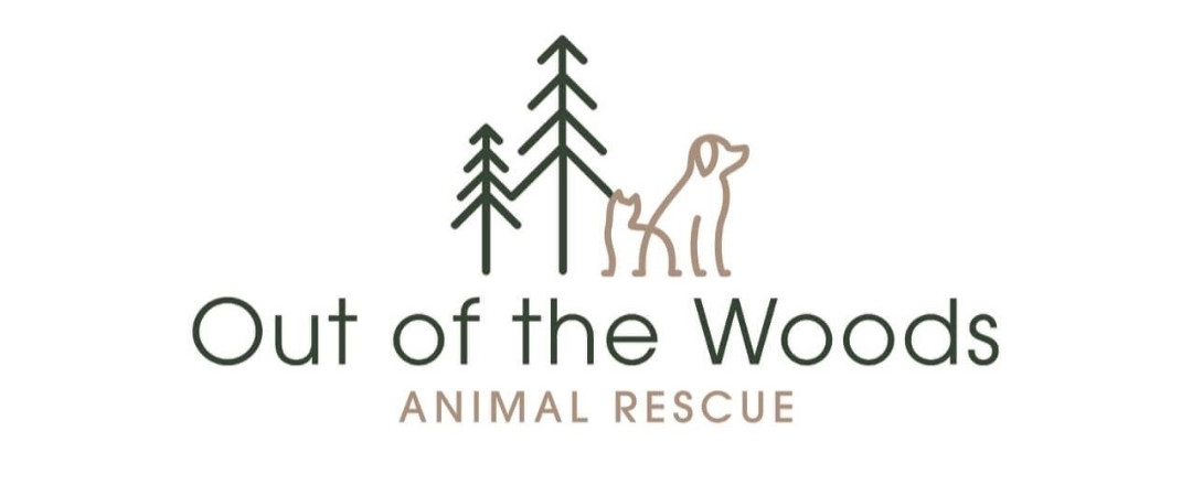 In the sale woods animal rescue