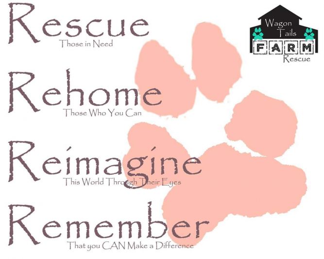 Wagon Tails Farm Rescue