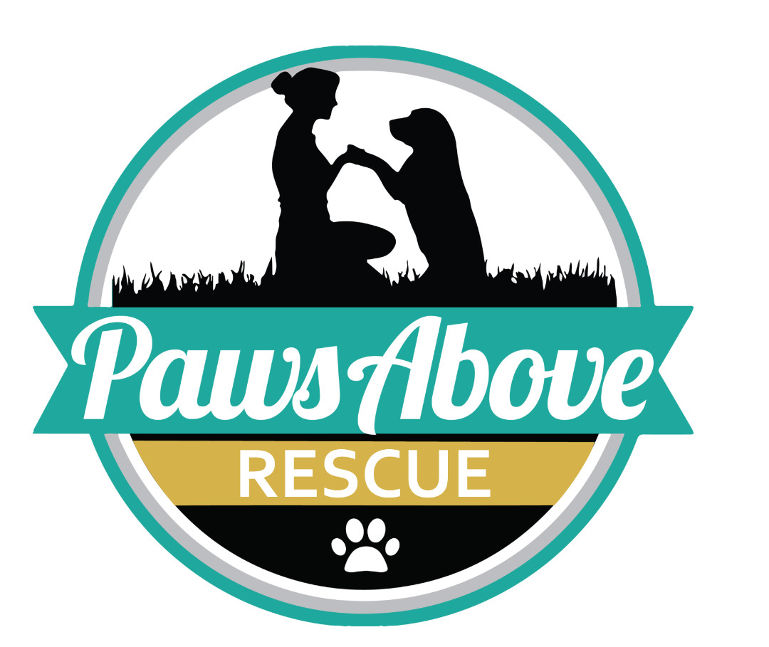 Paws Above Rescue