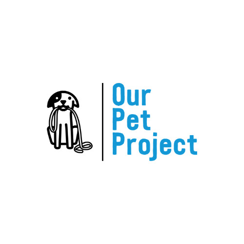 Pet проект. Java Pet Projects. Go Pet Project.