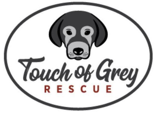 Touch of Grey Rescue