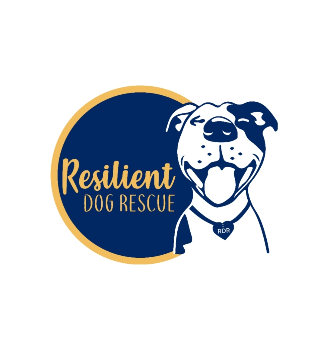 Resilient Dog Rescue 