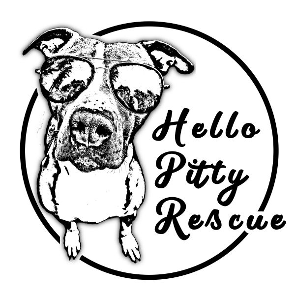 Hello Pitty Rescue