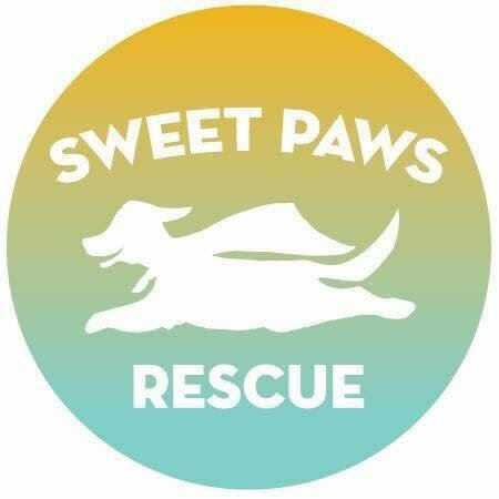 Sweet Paws Rescue