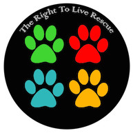 They Have The Right to Live Rescue