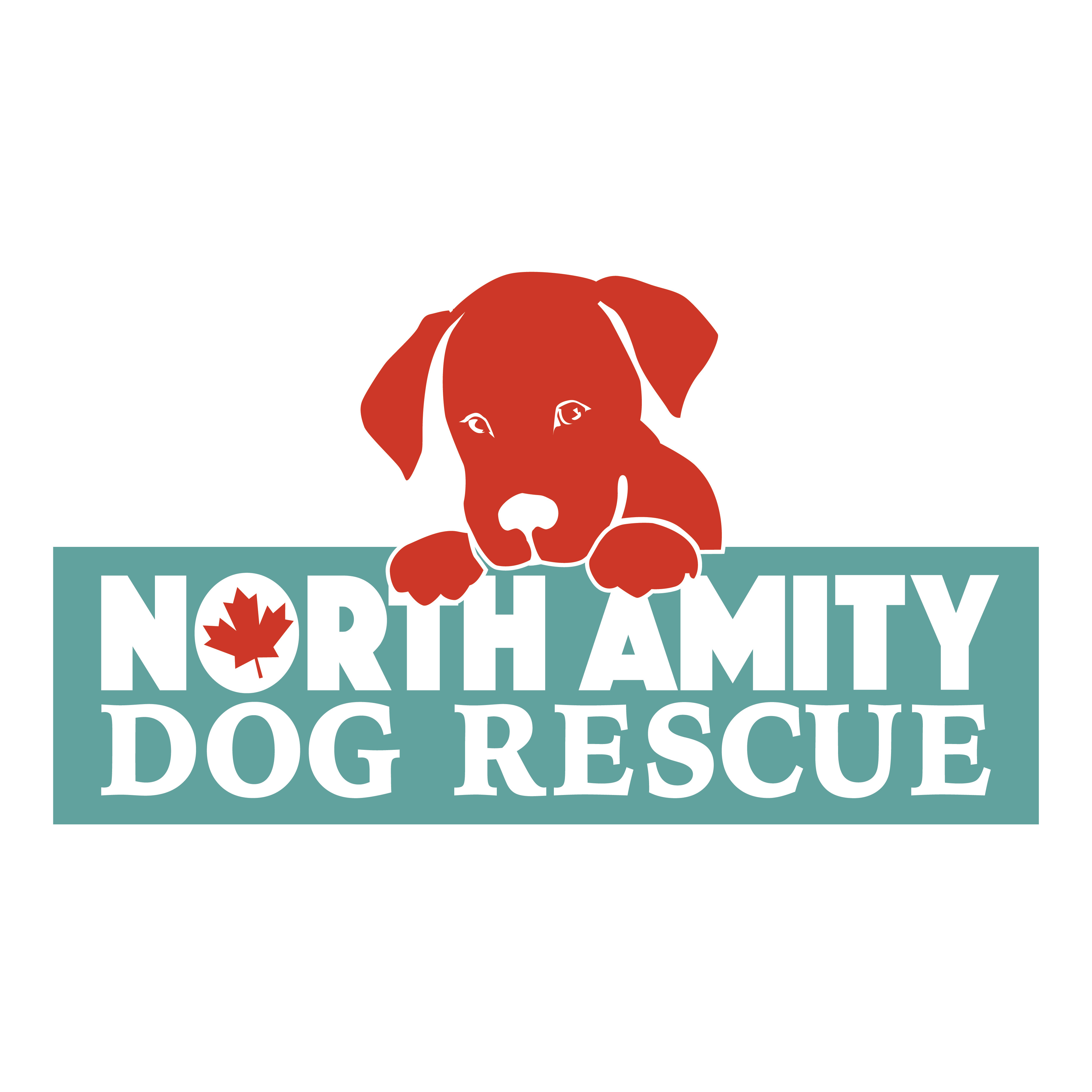 North Amity Dog Rescue Society