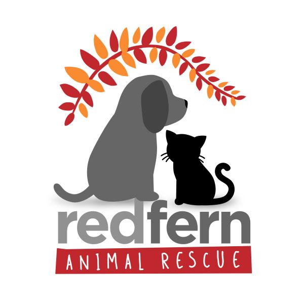 Red Fern Animal Rescue