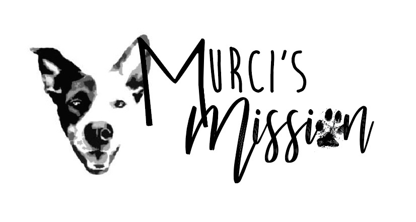 Murci's Mission 