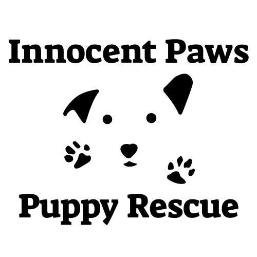 Innocent Paws Puppy Rescue