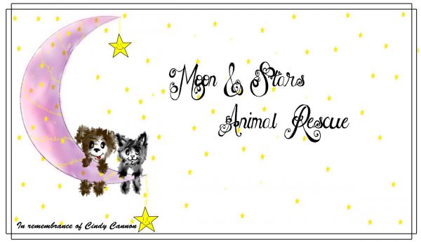 Moon and Stars Animal Rescue