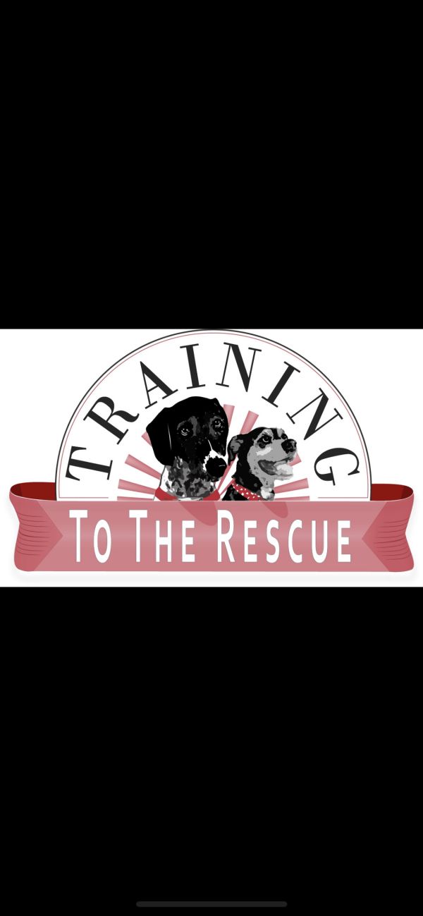 Training to the Rescue