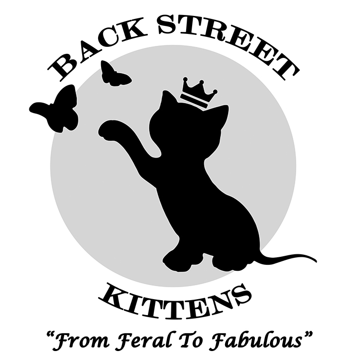 Back Street Kittens, Inc