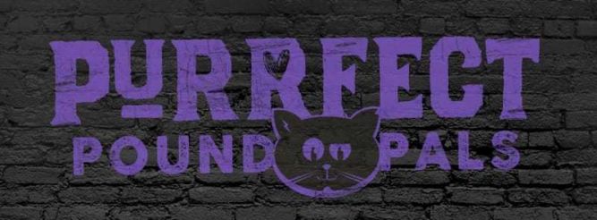 Purrfect Pound Pals