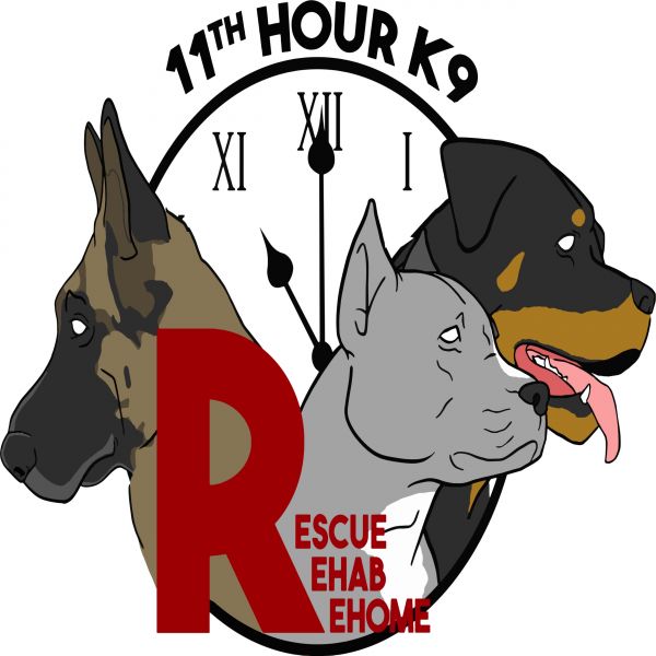 11th Hour K9 Rescue Rehab and Rehome