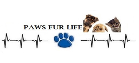 Paws Fur Life