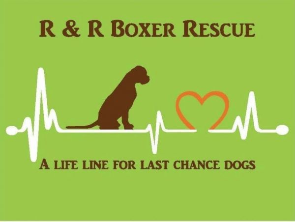 R & R Boxer Rescue