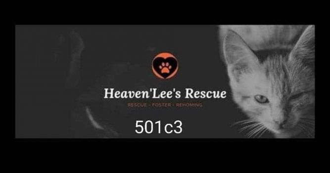 HeavenLee's Rescue
