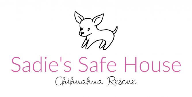 Sadie's Safe House Chihuahua Rescue