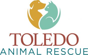 Pets for Adoption at Toledo Animal Rescue, in Toledo, OH | Petfinder