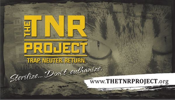 The TNR Project