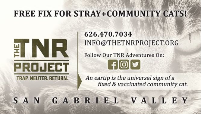 Tnr project sale