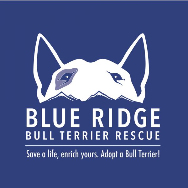 Blue Ridge Bull Terrier Rescue