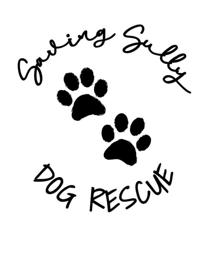 Pets for Adoption at Saving Sully Dog Rescue, in Fond du Lac, WI ...