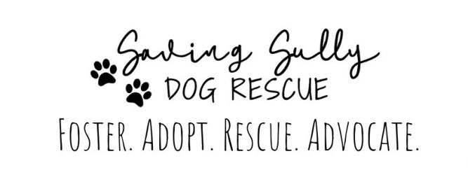 Saving Sully Dog Rescue